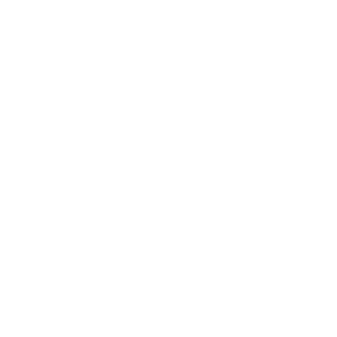 Logo indian w