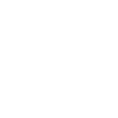 Logo vulcanet w